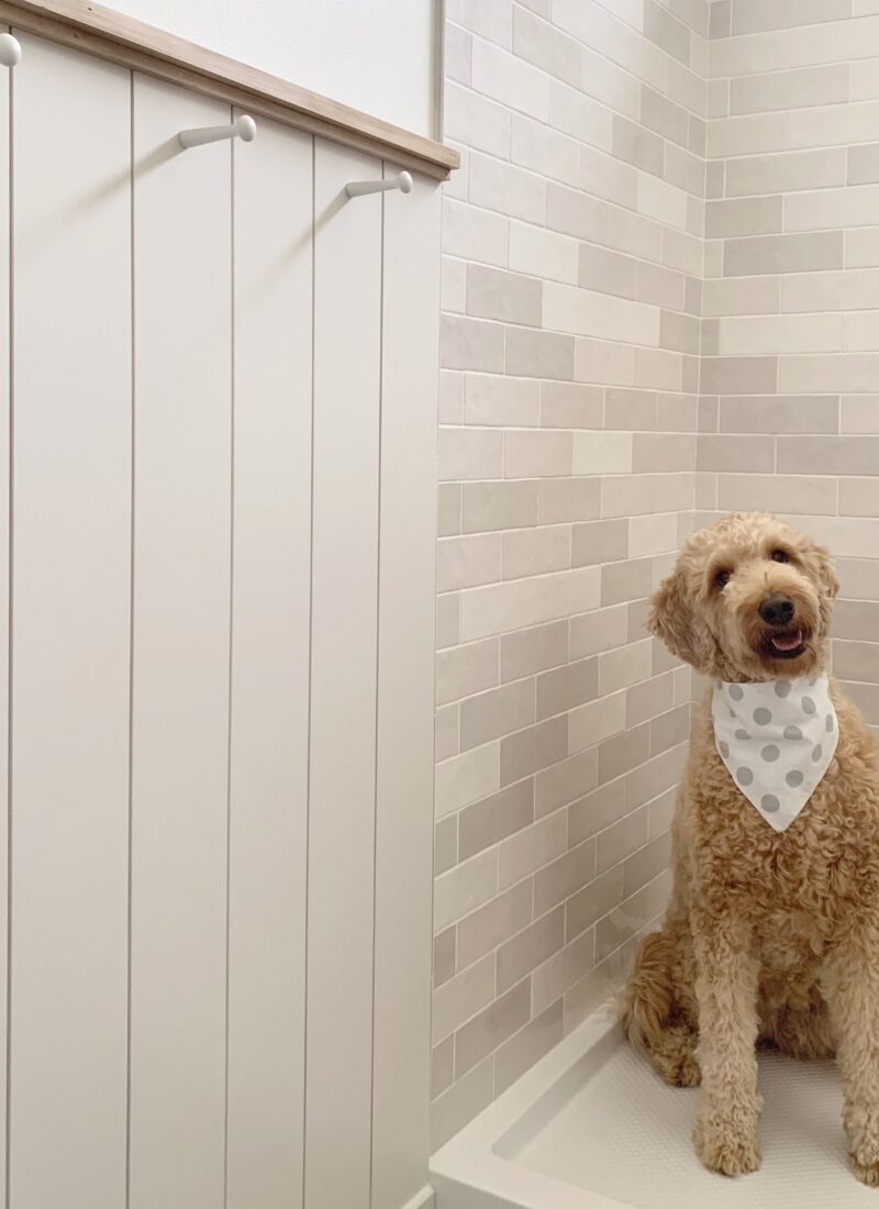 light gray DIY vertical shiplap in Sherwin Williams Incredible White against Sherwin Williams Pure White wall
