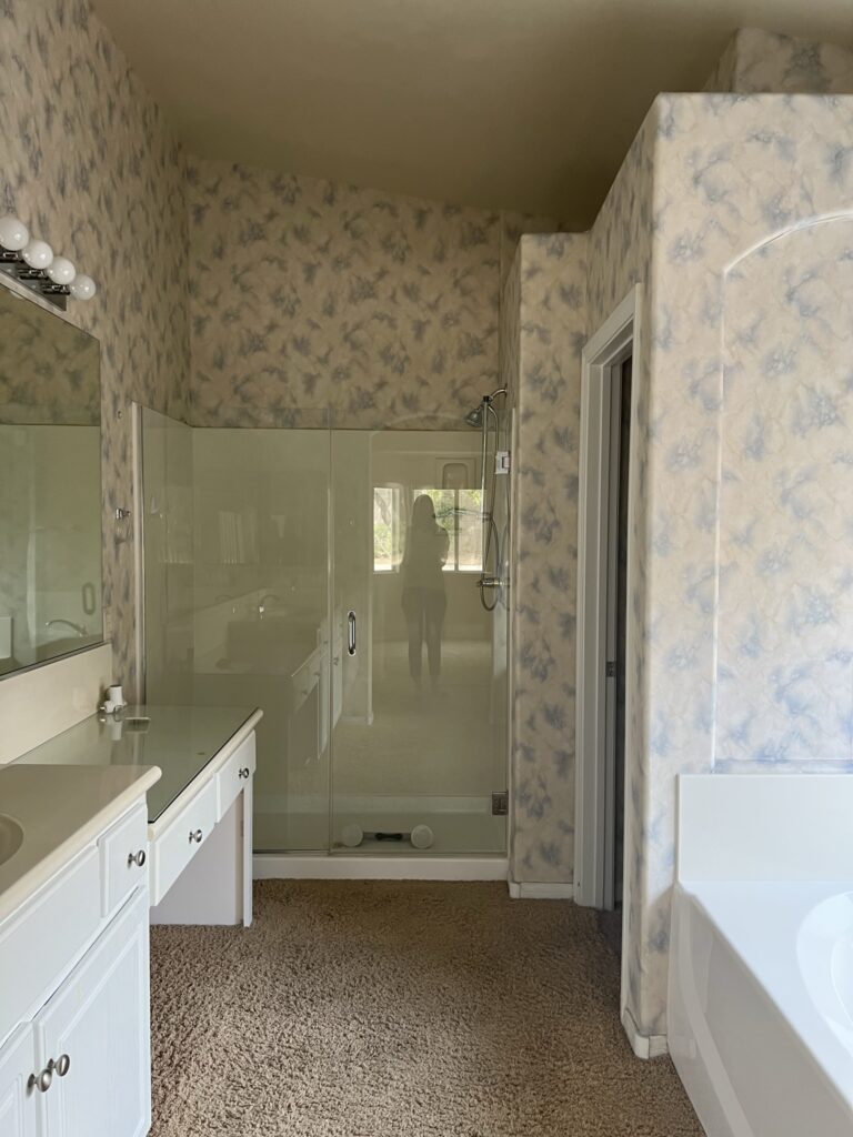 primary bathroom with vaulted ceilings