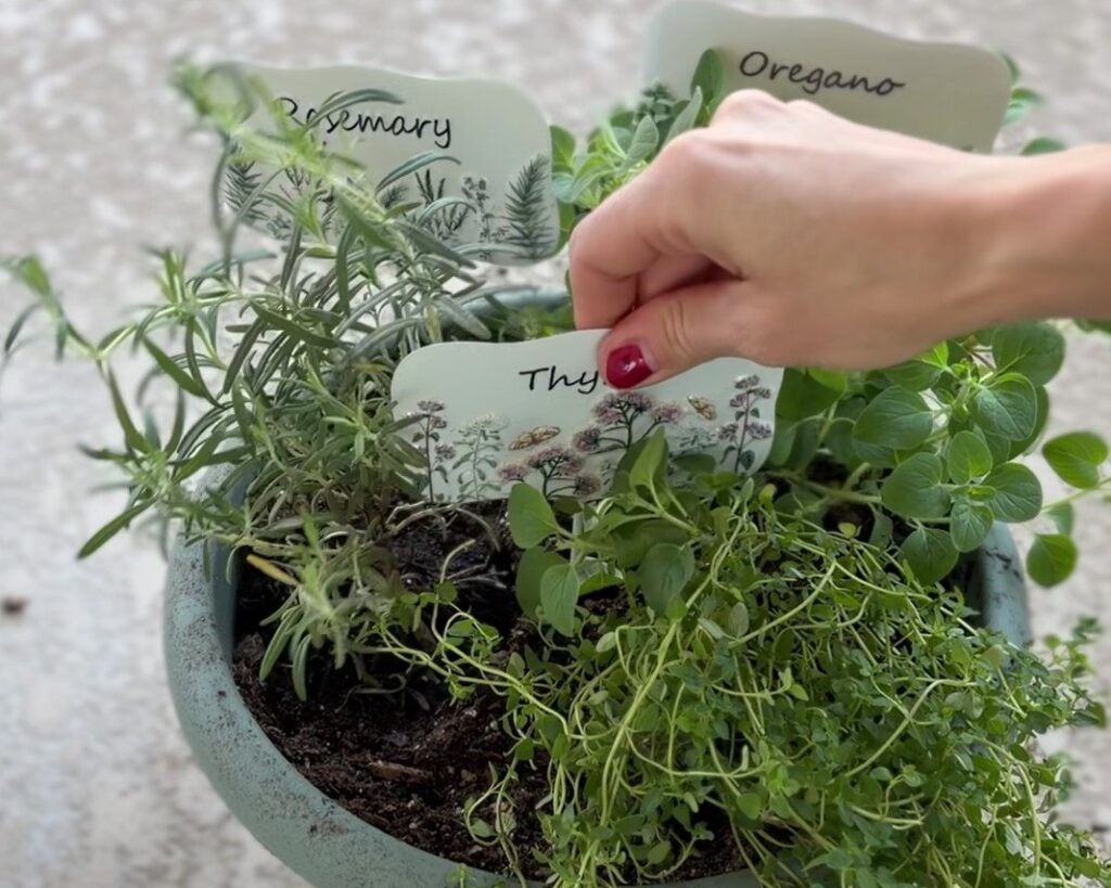 viral potting hack