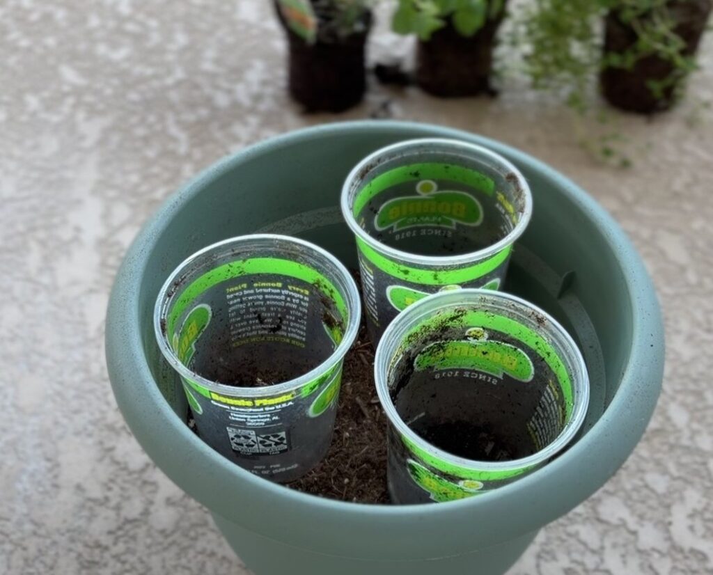 viral potting hack
