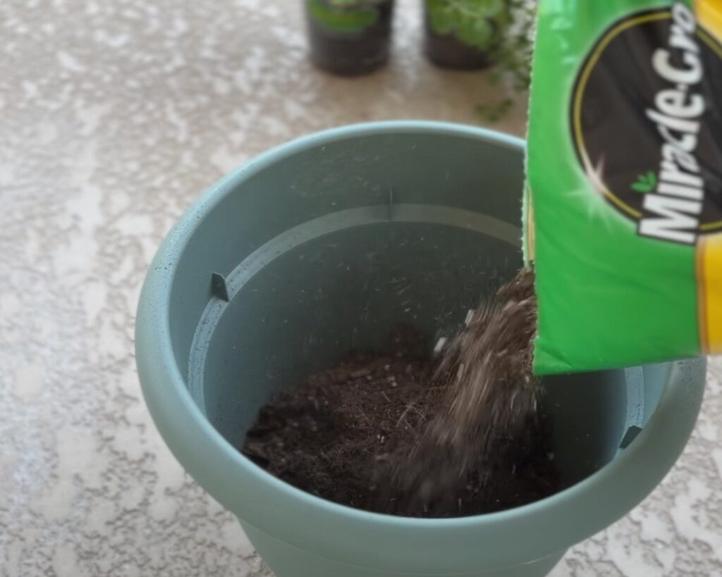 viral potting hack