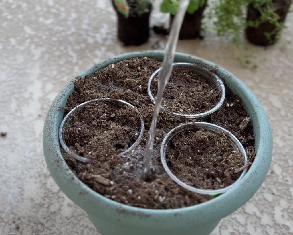 viral potting hack