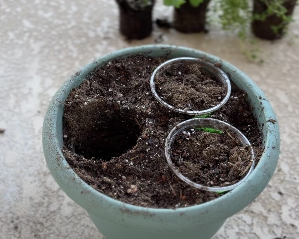 viral potting hack