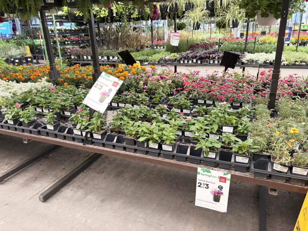 Lowe's SpringFest plants deal